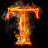 「 TLH 」
