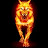 flame wolf