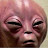 Dude