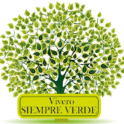 VIVERO SIEMPRE VERDE