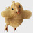 Internet Friend Avatar