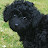 Annie