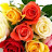 Jane J Avatar