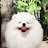 가을이ᄒ