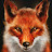 Red fox