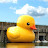 Frubber Duck