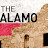 Alamo Defender
