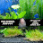 Old School Fish Guy Avatar
