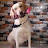 Priyanka Shinde Avatar