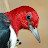 Doug Smith Avatar