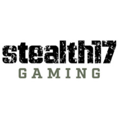 Stealth17 Gaming net worth