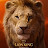 Lion King