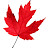 Liaqat Khan Avatar