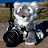 Chris Bonniwell Avatar