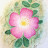 Joy L Avatar
