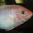 smitty03281964 Avatar