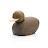 Oak Duck