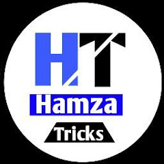 Hamza Tricks net worth