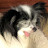 Chrissy Pendergrass Avatar