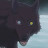 Wolfs Rain