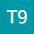 Т9