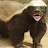 Honeybadger