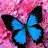 Uly sses