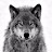 Gray Wolf