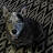 Tosca Libralato Avatar