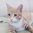 장우