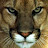 CougarW