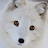 White_Polar_fox _