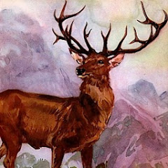 Great Stag Avatar