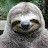 sloth9669