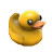 Duck Man