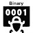 Binary Bug