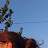 Alyona Wsha