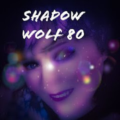 Логотип каналу Shadow wolf 80