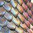 Snake Scales