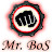 Mr BoS