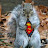 White Squirrel