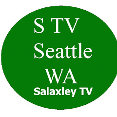 SALAXLEY TV net worth
