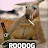 Roodog Gonebush