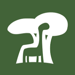 The Sapling