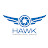 Hawk - Unmanned Aerial Services