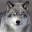 @Lonewolf---