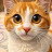 @farheenbadar900 Avatar