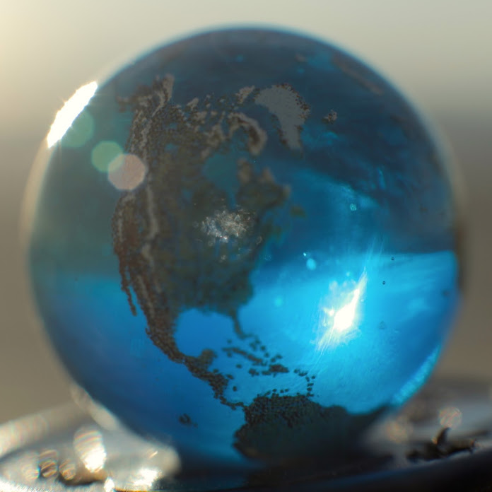 To Scale: Net Worth & Earnings (2026)