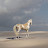 Pearl Horse