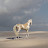Pearl Horse